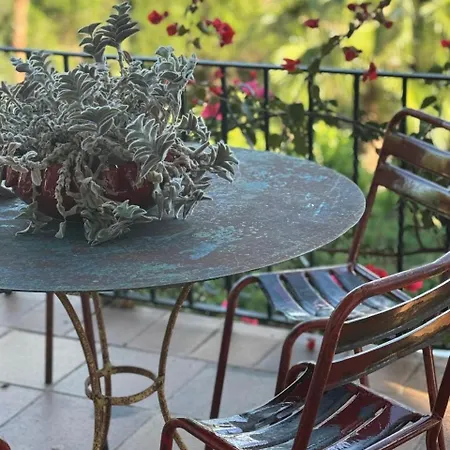 Relax リョレート・デ・マル